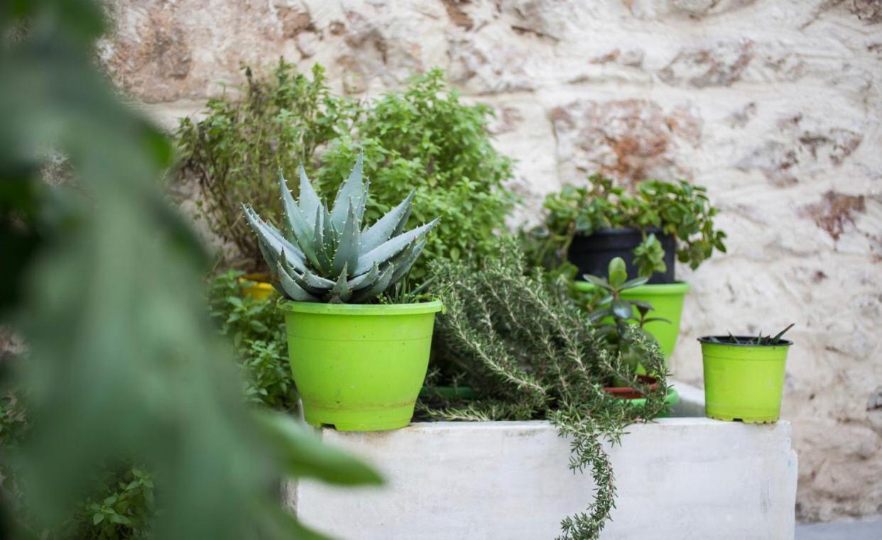 A Litte Taste Of Home Guest House Athens Exterior photo
